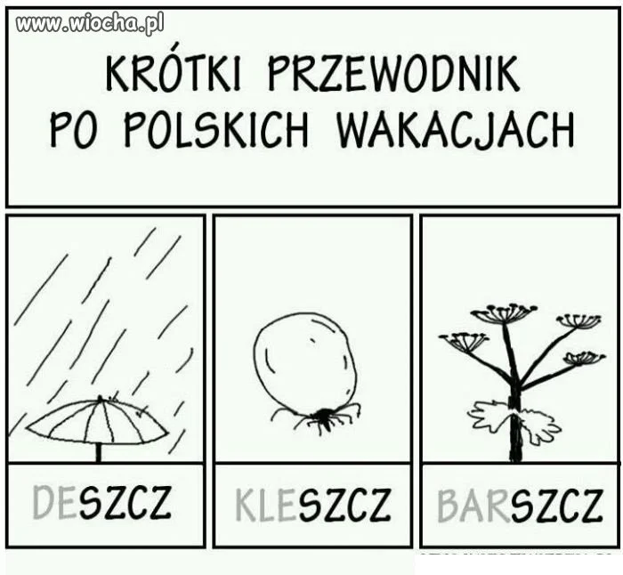 Wakacje po polsku