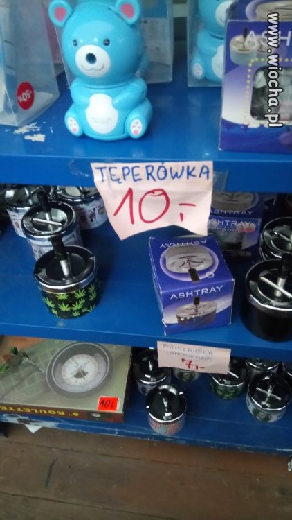 ...  w chińskim namiocie w nadmorskiej Stegnie... 