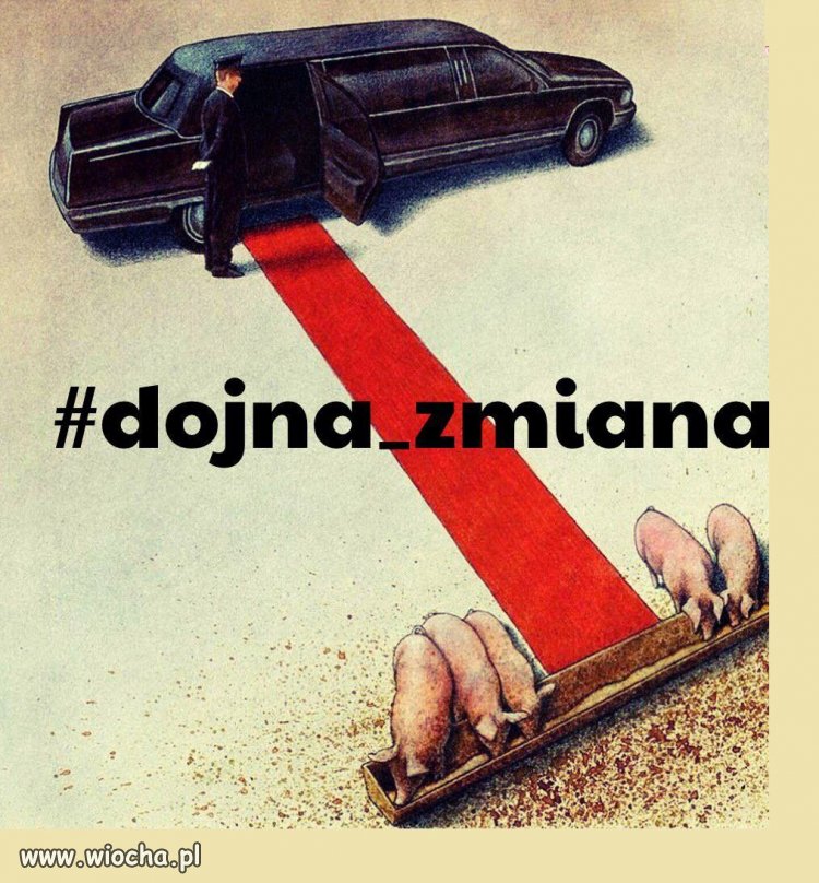 Dojna zmiana