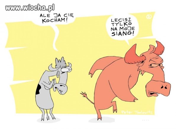 Leci na siano