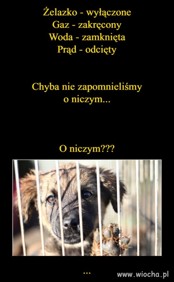 No i się zaczęło