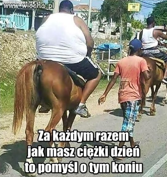Opisu Brak