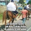 Opisu Brak