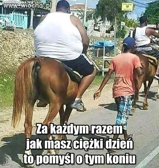 Opisu Brak
