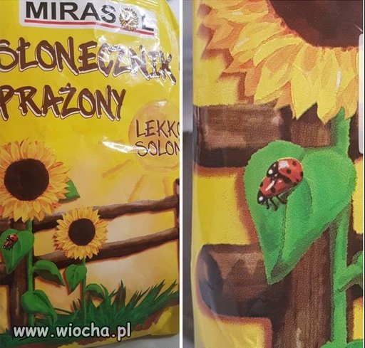 Mistrzowie