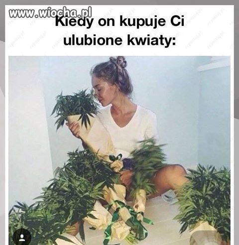 Ulubione kwiaty