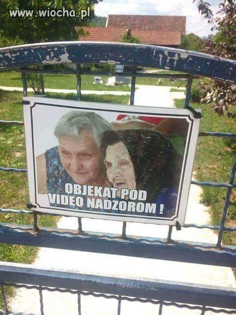 Monitoring rodem z południa 