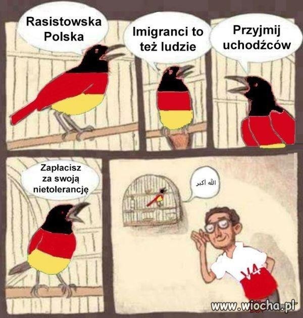 Polska taka rasistowska...