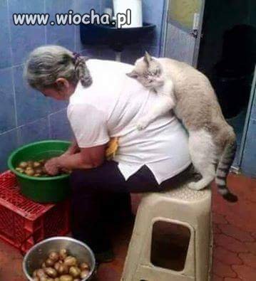 Takie tam...