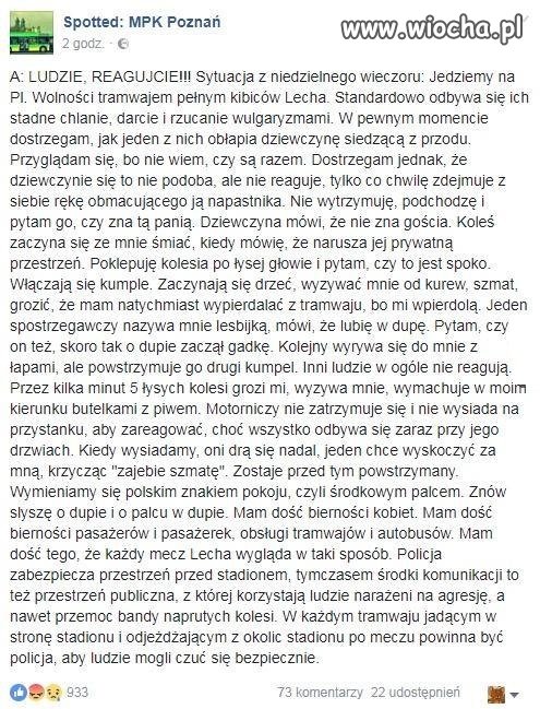 Kibice