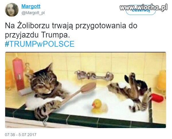 Przygotowania 