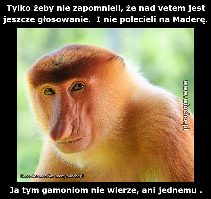 Tylko żeby nie zapomnieli, że nad vetem jest