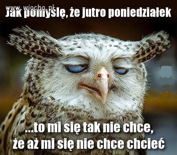 Ech... życie!
