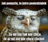 Ech... życie!
