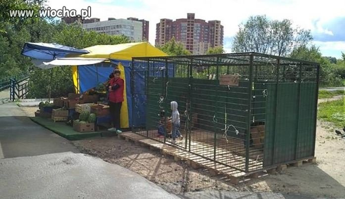 W Rosji dzieci też mają wakacje   