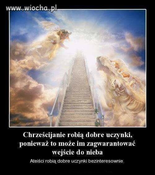 Jak mają zryte łby