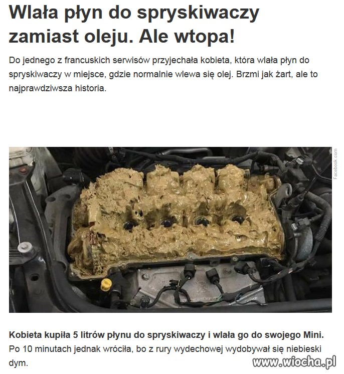 Dobry materiał na żone