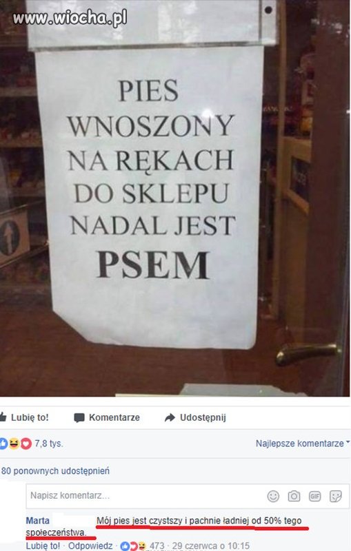 Teraz zamiast o psa