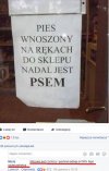 Teraz zamiast o psa