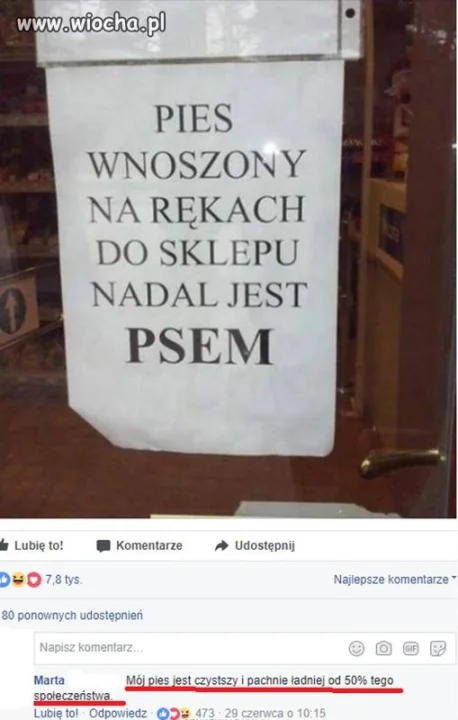 Teraz zamiast o psa