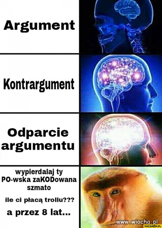 Tymczasem na Wiocha.pl