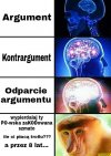 Tymczasem na Wiocha.pl