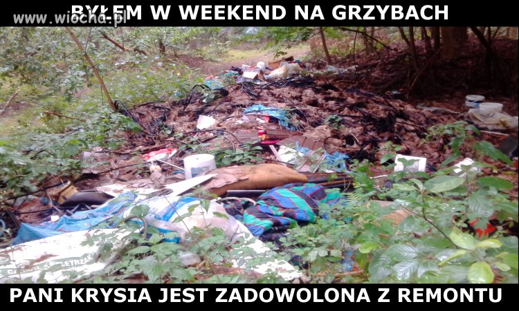 Weekend na grzybach