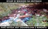 Weekend na grzybach