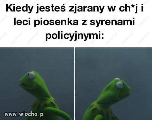 Dla wszystkich kumatych żabsonów