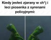 Dla wszystkich kumatych żabsonów
