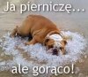 Ale gorąco