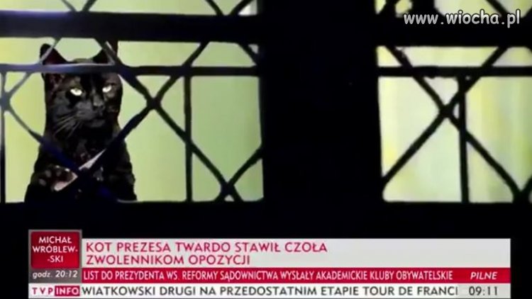 Paski z TVP info