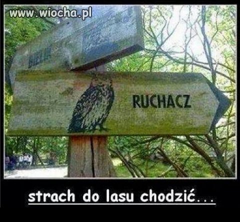 Strach,albo i nie