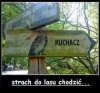 Strach,albo i nie