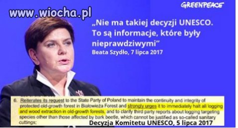 Już ma kinol