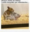 Danke 