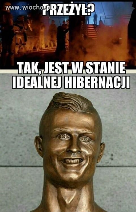 Hibernacja