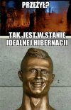 Hibernacja