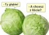 Krótko i na temat