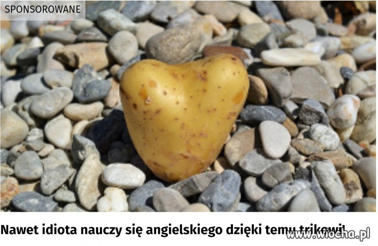 Autentyk