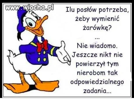 No właśnie ilu