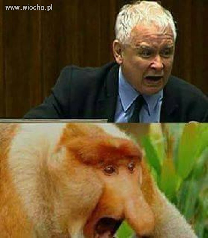 Takie małe podsumowanie wystąpienia prezesa. 