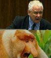 Takie małe podsumowanie wystąpienia prezesa. 