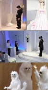 Najprawdziwszy ślub w Japonii