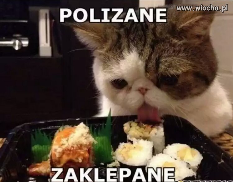 Polizane