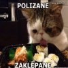 Polizane
