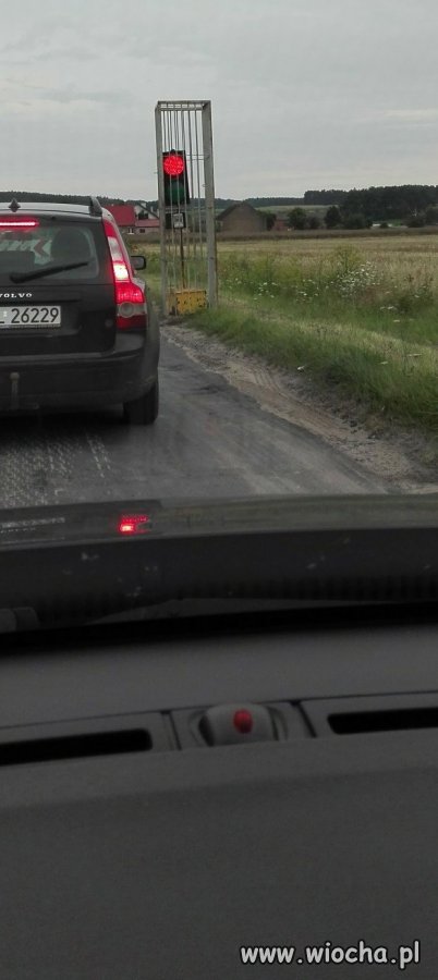 Bo kradną?