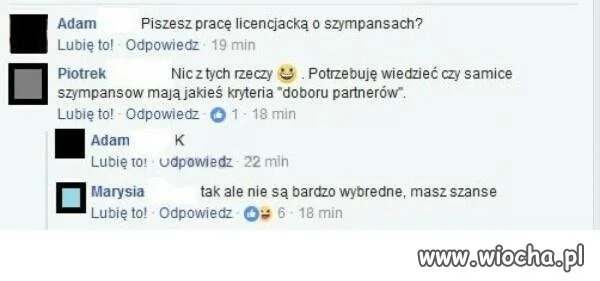 Będzie coś z tego