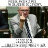 Pisowski kozak