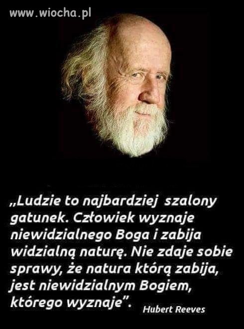 Z tym można się zgodzić 